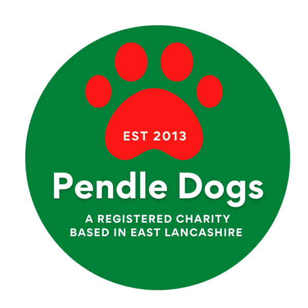 Anne's 50th Birthday Localgiving