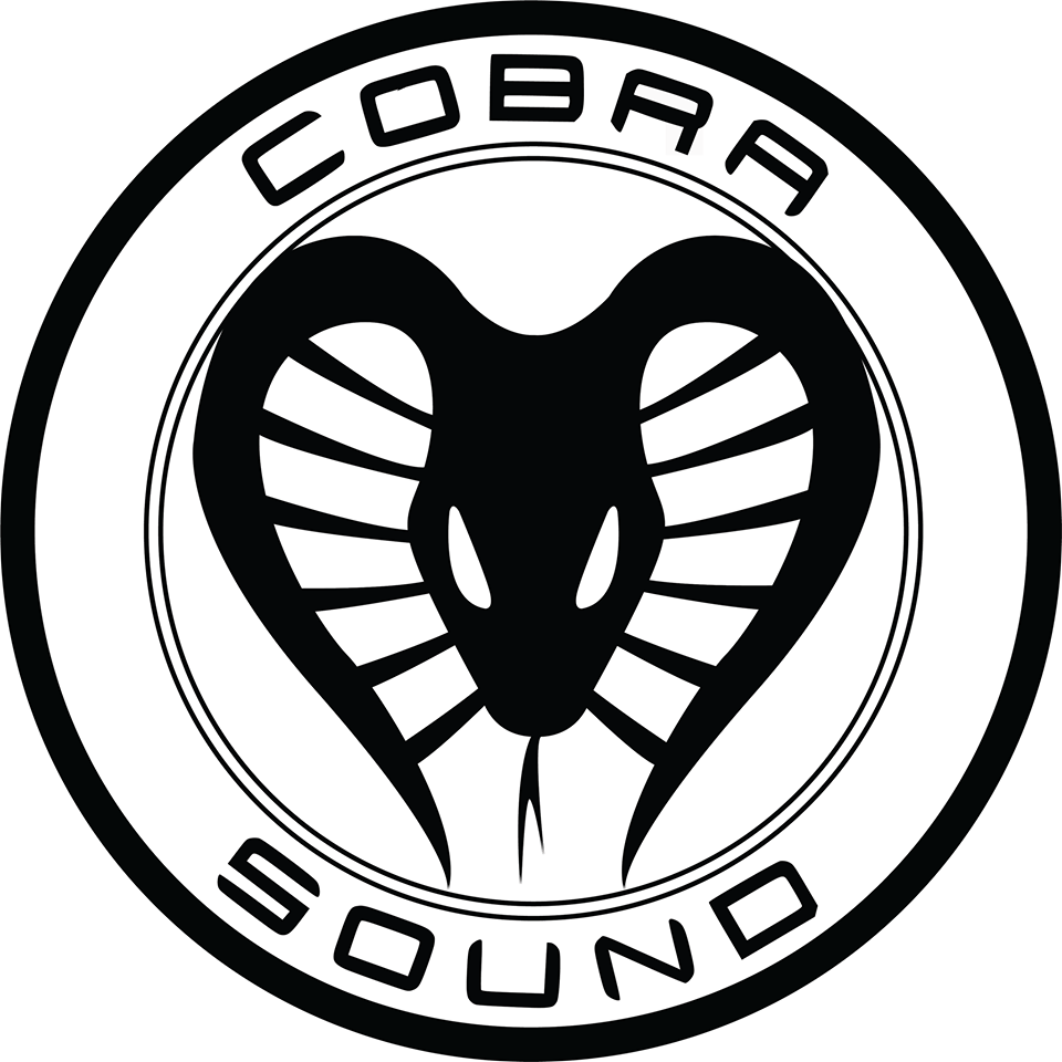 Cobra Sound Enkrypt Survivors Network Fundraise Localgiving